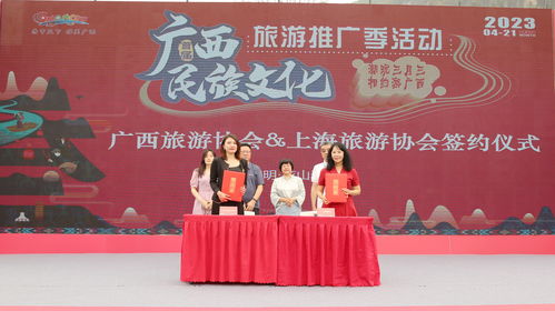 首届广西民族文化旅游推广季活动在花山景区举行
